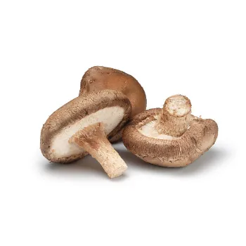 Fresh Mushroom